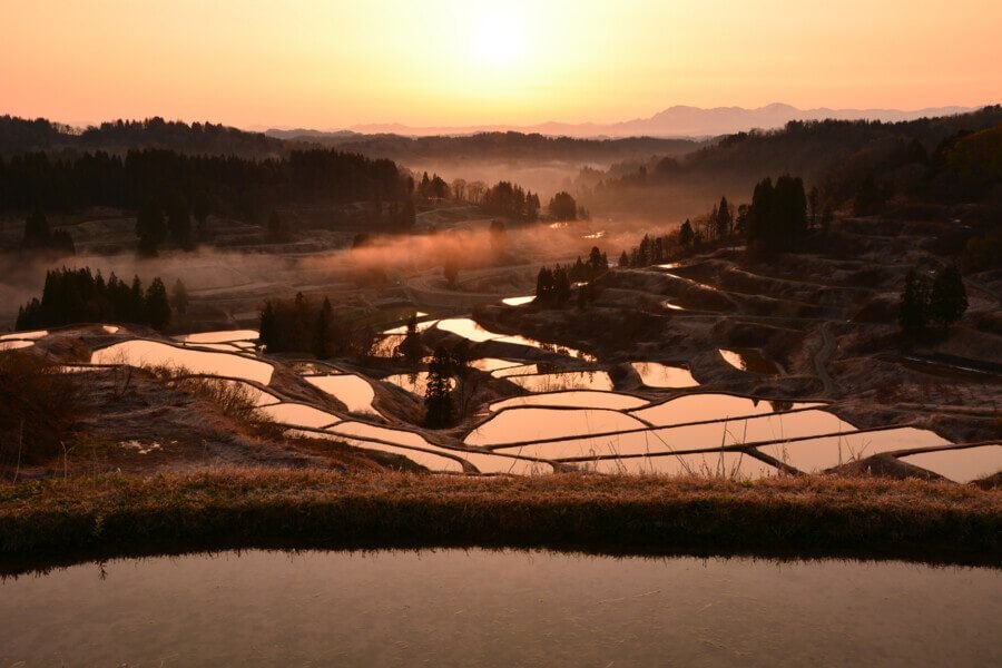星峠梯田